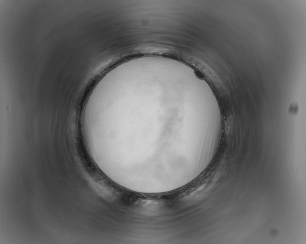 X0000101210352200807251054