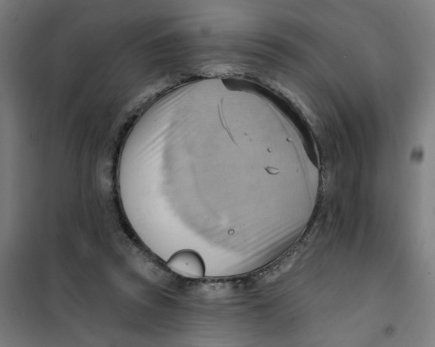 X0000101210353200807251054