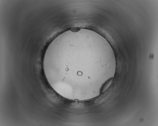 X0000101210354200807251054