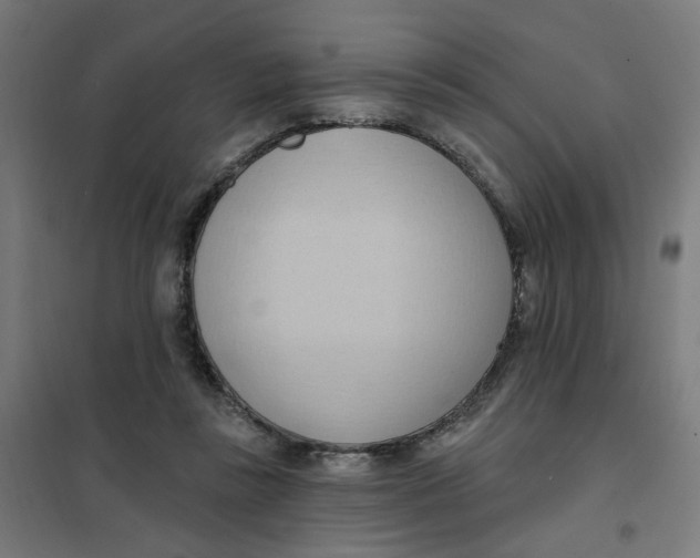 X0000101210355200807251054