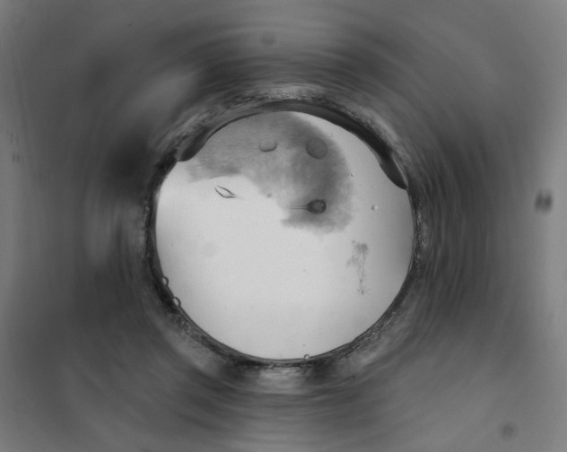 X0000101210357200807251054