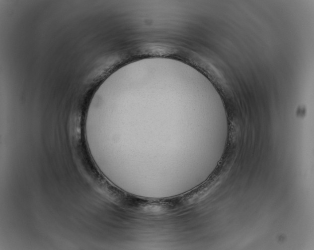 X0000101210358200807251054