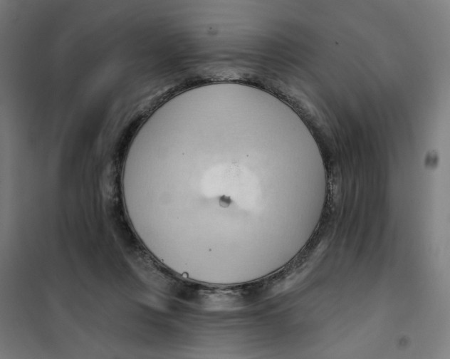 X0000101210359200807251054