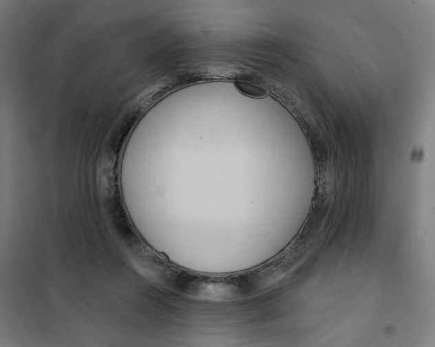 X0000101210360200807251054