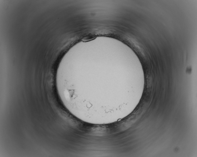 X0000101210362200807251054