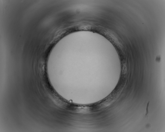 X0000101210363200807251054