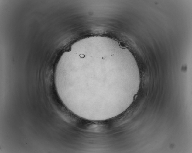 X0000101210364200807251054