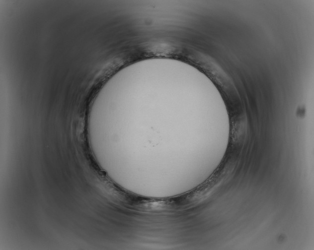 X0000101210365200807251054