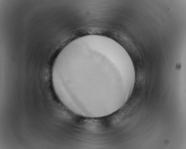 X0000101210367200807251054