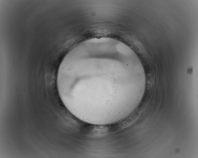 X0000101210369200807251054