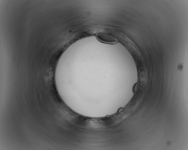 X0000101210372200807251054