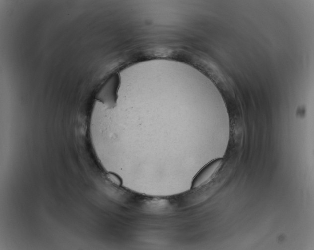 X0000101210374200807251054