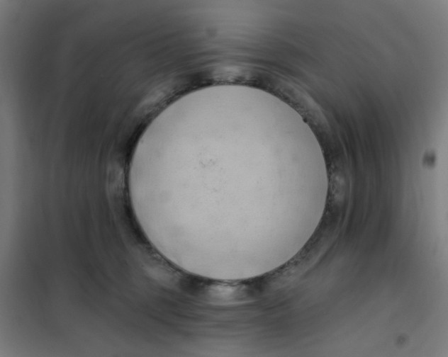 X0000101210375200807251054