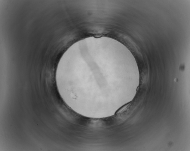 X0000101210376200807251054