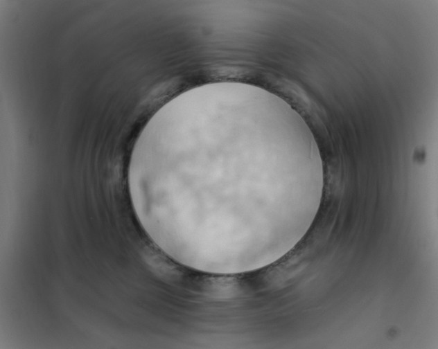 X0000101210377200807251054