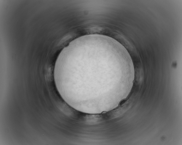 X0000101210378200807251054