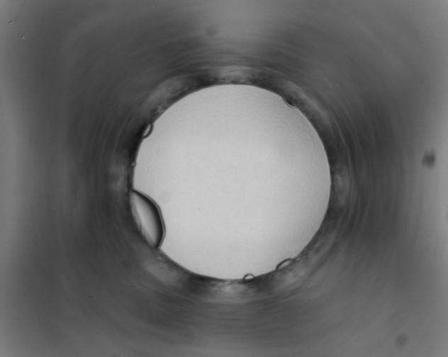 X0000101210379200807251054