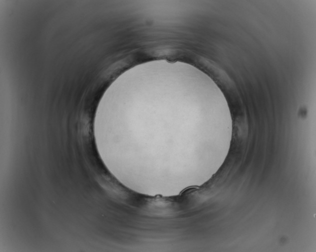 X0000101210380200807251054