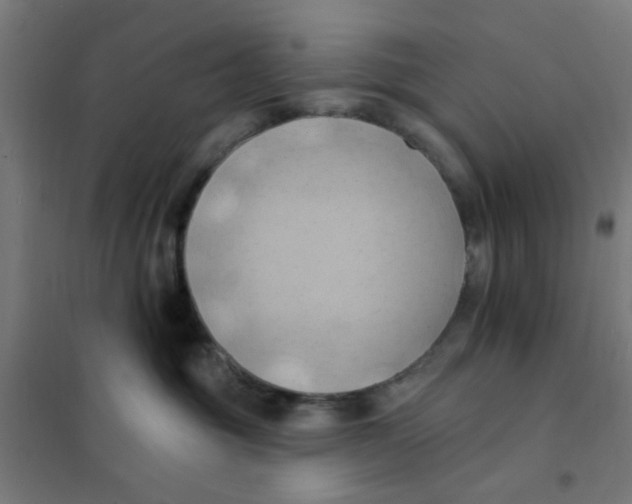 X0000101210381200807251054