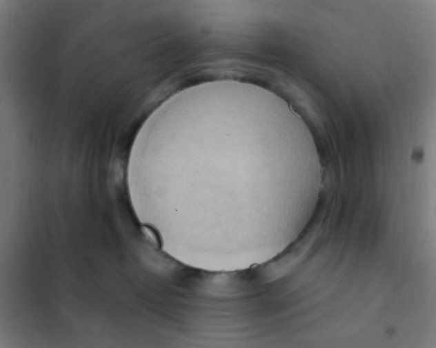 X0000101210382200807251054