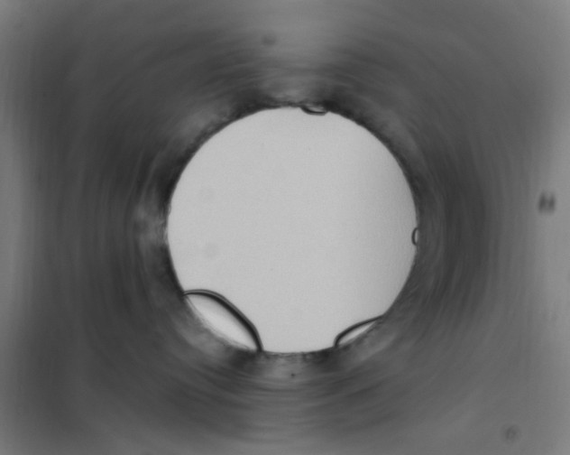 X0000101210384200807251054