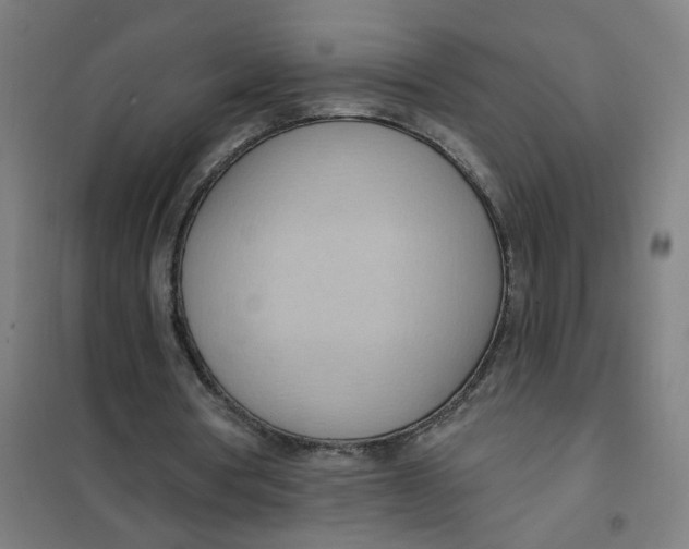 X0000101210386200807251054