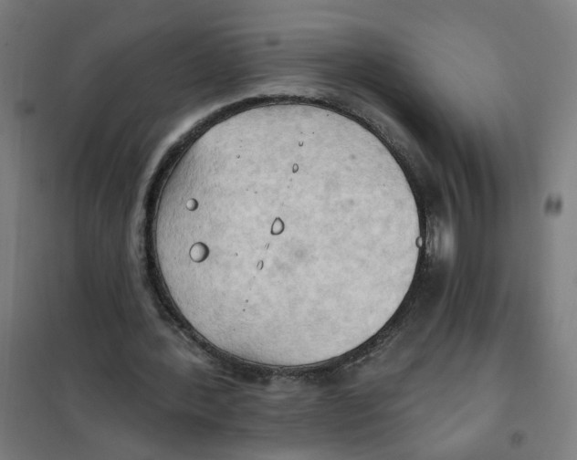 X0000101210388200807251054