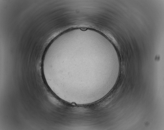 X0000101210389200807251054