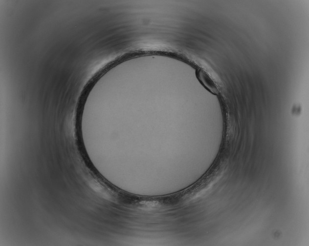 X0000101210391200807251054