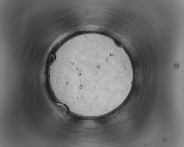 X0000101210392200807251054