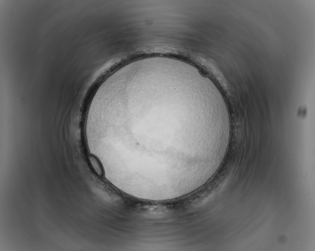 X0000101210395200807251054