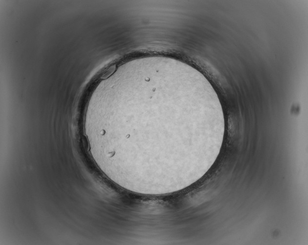 X0000101210396200807251054