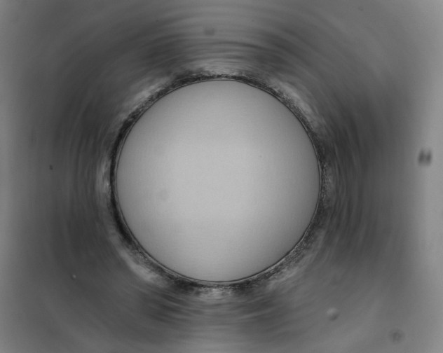 X0000101210398200807251054