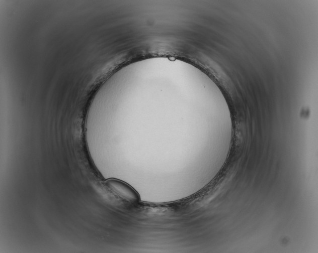 X0000101210401200807251053