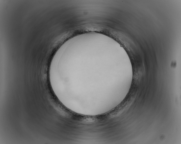 X0000101210402200807251053