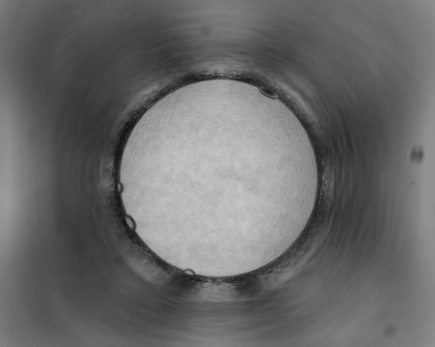 X0000101210403200807251053