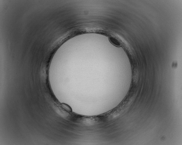 X0000101210405200807251053