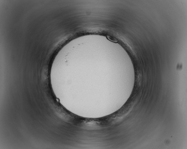 X0000101210407200807251053