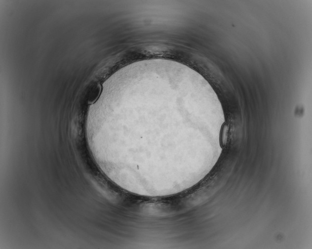 X0000101210408200807251053