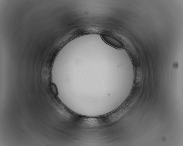 X0000101210409200807251053