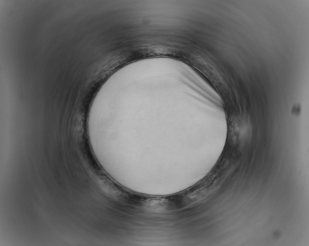 X0000101210410200807251053