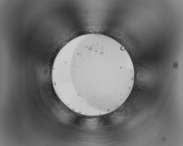 X0000101210411200807251053