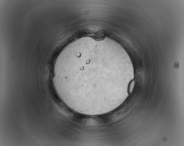 X0000101210412200807251053