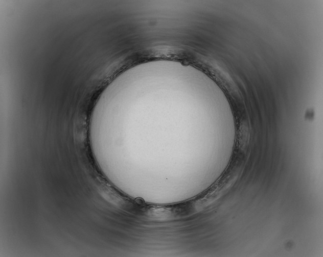 X0000101210413200807251053