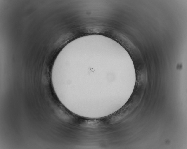 X0000101210414200807251053