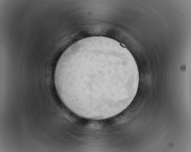 X0000101210416200807251053