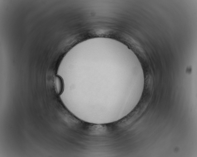 X0000101210421200807251053