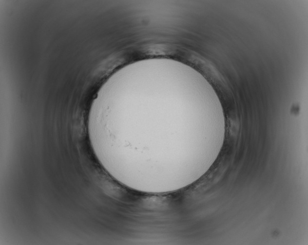 X0000101210422200807251053