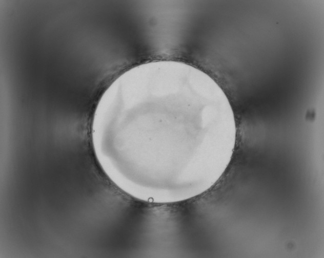 X0000101210423200807251053