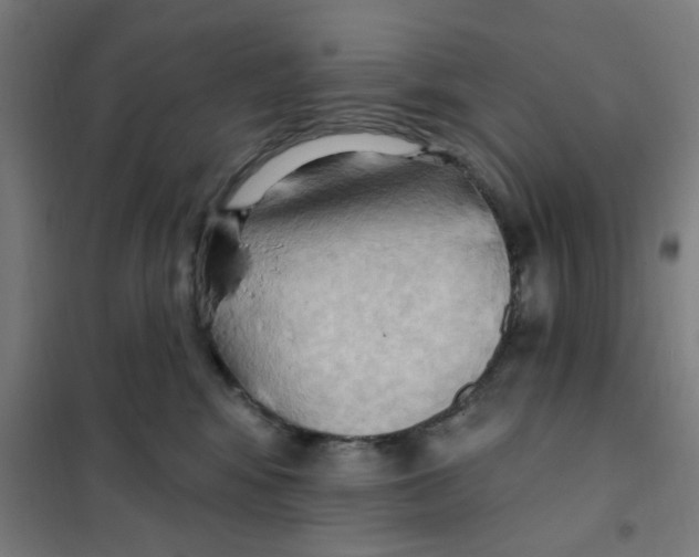 X0000101210424200807251053